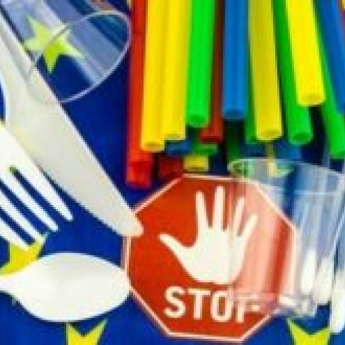 Recipientele de plastic pentru unică folosință vor fi interzise în toate barurile și restaurantele din UE! Obiective clare pentru reducerea cantității de deșeuri de ambalaje. Ambalaje reciclabile obligatorii.