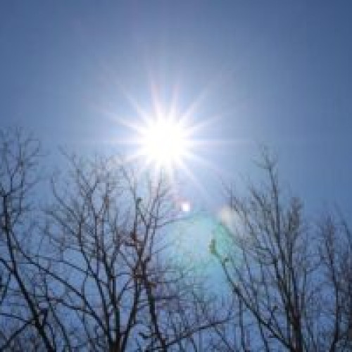 Februarie 2024, a 9-a lună consecutivă cu temperaturi record în Europa