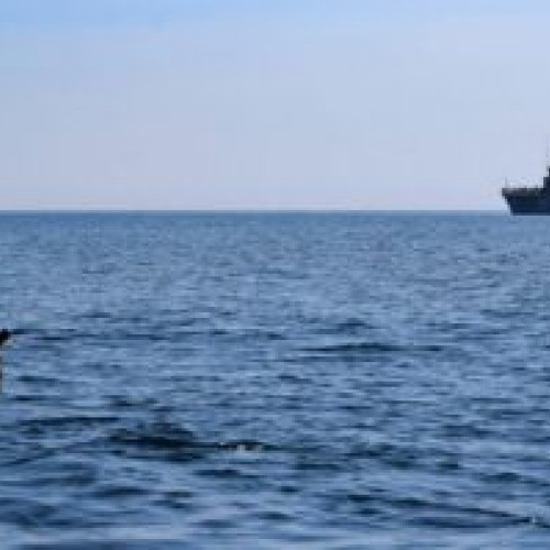 Pescarii români, în pericol din cauza scăderii numărului de peşti în Marea Neagră