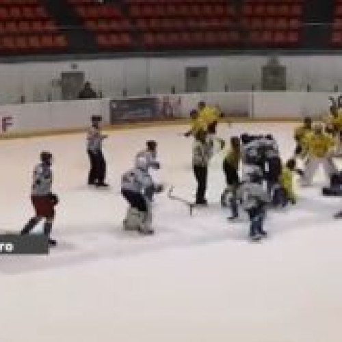Poliția intervine după bătaia dintre copii la meciul de hochei. Conflict la partida de campionat național pentru jucătorii din Brașov și Cârța. Imagini video surprinse în timpul violentei. Arbitrul, printre victime. Federația de hochei și Poliția Brașov iau măsuri. Haideți și voi în comunitatea noastră cu un Like pe Facebook!