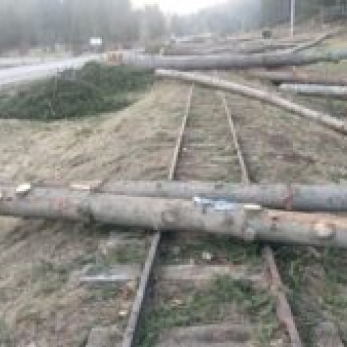 Primăria Covasna depune plângere pentru distrugerea calei ferate din Valea Zânelor de către exploatarea lemnului