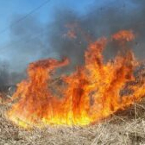 Peste 50 de incendii de vegetație, în județul Covasna, în acest an