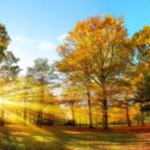 Prognoza meteo pentru următoarele două săptămâni, de la ANM: Temperaturi chiar și de 30 de grade