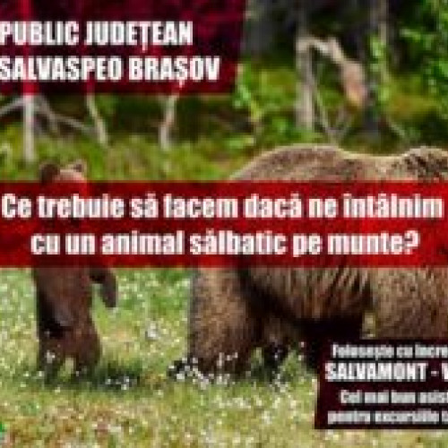 Salvamont Braşov: Zece sfaturi esenţiale în cazul unei întâlniri cu un animal sălbatic