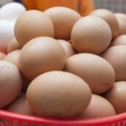 Transformă albușurile rămase într-o prăjitură delicioasă cu fructe, folosind rețeta simplă de pandișpan. Descoperă cum poți savura această delicatesă în fiecare anotimp!
