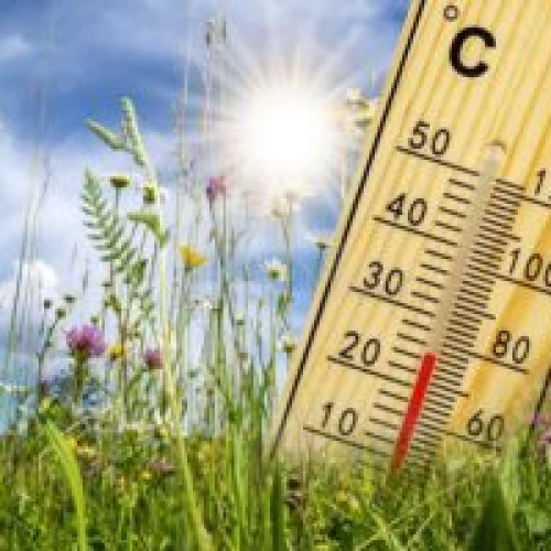 Temperaturi apropiate de normele perioadei şi ploi însemnate cantitativ, în următoarele două săptămâni