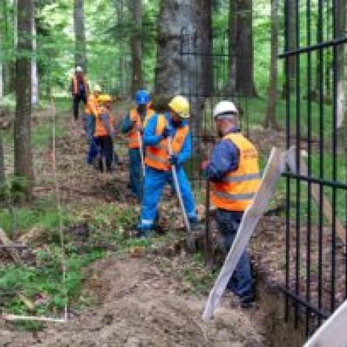 Primul centru de reabilitare a urșilor se construiește pe Valea Timișului, în județul Brașov