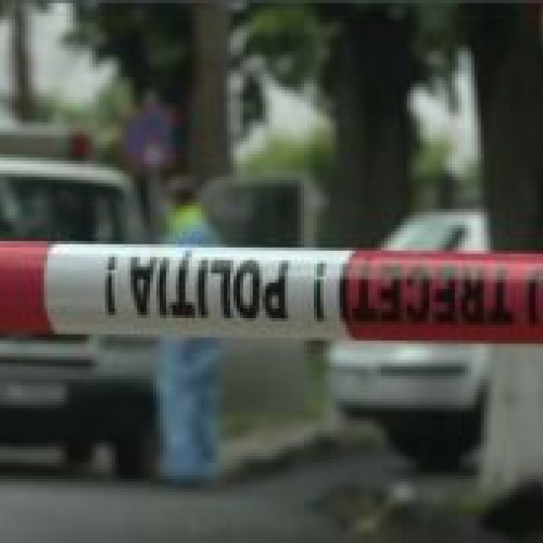 Fetiţă dispărută din Botoşani găsită decedată la marginea pădurii