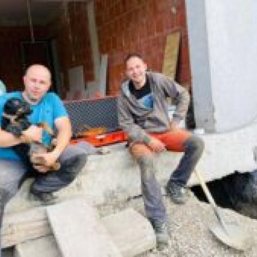 Catelusa salvata dupa 8 ore din vizuina vulpei de autoritatile din Cluj - Max, un caine erou in operatiunea de cautare dupa cutremurul din Turcia