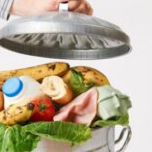 Îmbunătățirea refrigerării ar putea reduce risipa de alimente la nivel mondial cu 41%, potrivit unui studiu