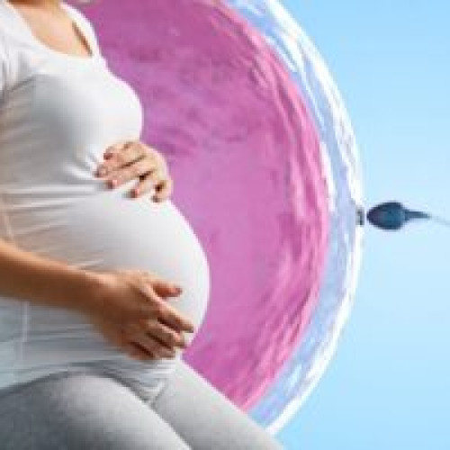 Programul de fertilizare in vitro continuă și în 2024