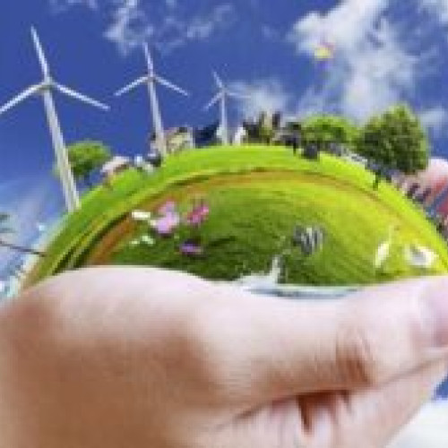 Ziua Mondială a Mediului sărbătorită la sediul APM Brașov prin activități educative pe 5 iunie