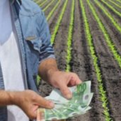 APIA anunță că a făcut plăţi de aproape 52 de milioane de euro către fermieri în două zile