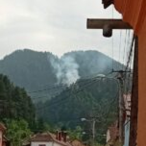 Incendiu de fond forestier la Săcele, zona Bunloc