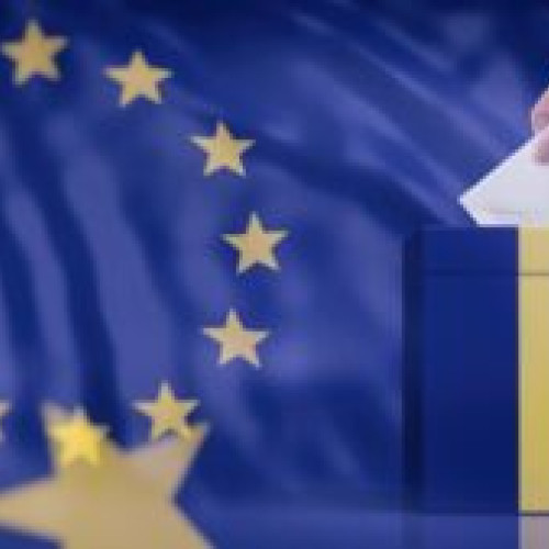 Rezultate provizorii ale alegerilor pentru Parlamentul European
