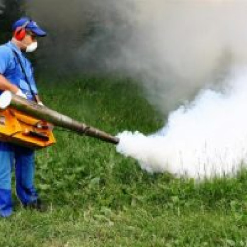 O nouă etapă de dezinsecție pentru combaterea căpușelor se va desfășura joi noaptea în Săcele