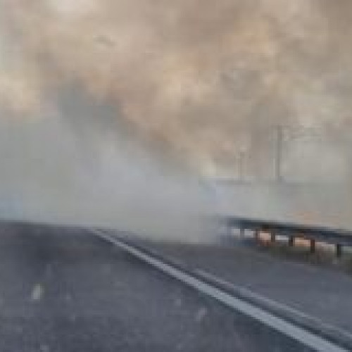 Incendiu masiv de vegetație a închis circulația pe Autostrada Soarelui și pe calea ferată